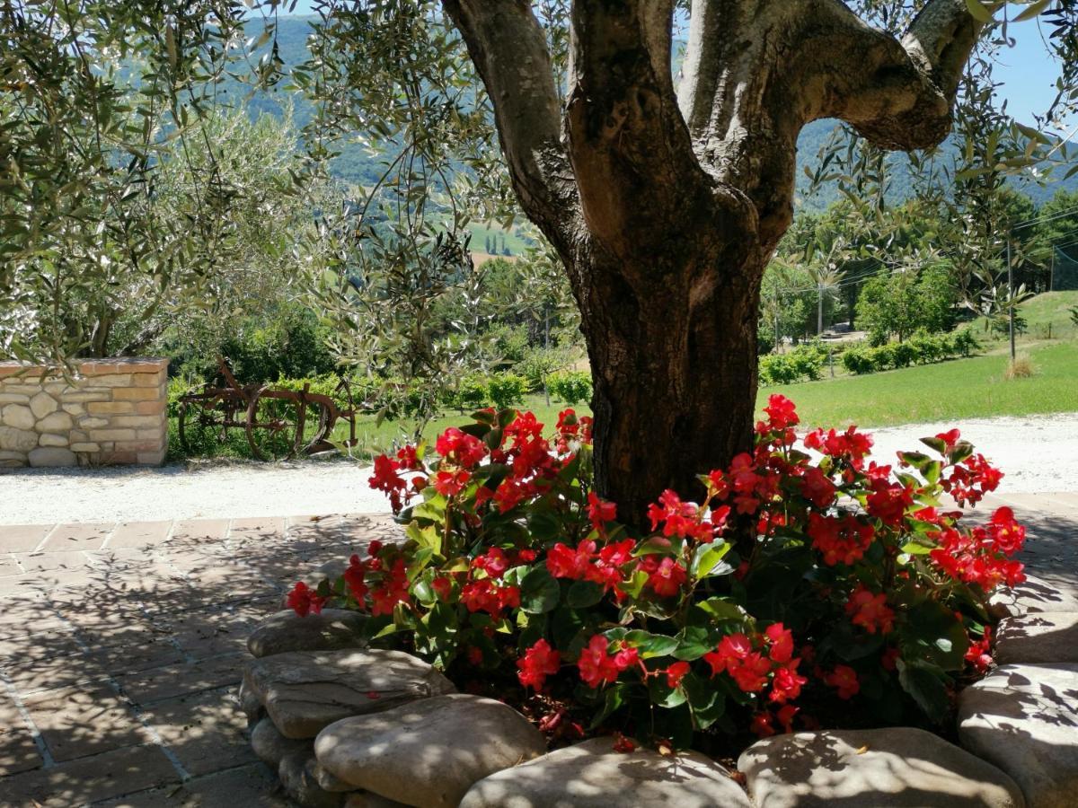 Agriturismo Sole Luna Piano Delle Pieve Bagian luar foto