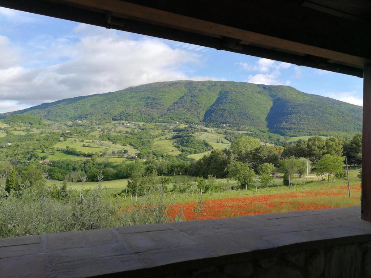 Agriturismo Sole Luna Piano Delle Pieve Bagian luar foto